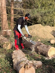 ✂ L’hiver est la saison idéale pour intervenir sur les arbres. Pourquoi tant de chantiers d’élagage se font-ils à cette période ? Parce que les arbres sont au repos végétatif, ce qui permet : ✔ Des coupes plus propres ✔ Une meilleure cicatrisation ✔ Moins de stress pour l’arbre Sur ce chantier, notre équipe ADEP est intervenue pour élaguer puis abattre deux épicéas de 25m, en milieu habité. Un travail de précision, de coordination et de sécurité pour respecter l’arbre, le lieu et les personnes. 