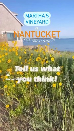 vineyarddreamrealty on TikTok