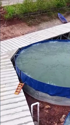 Land Fish Farming Looks Like a Sci-Fi Lab Experiment