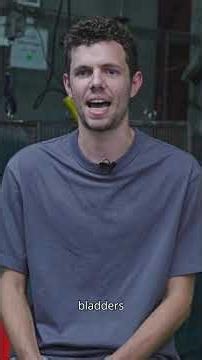 What does it take to prove an inflatable PFD is ready for the water?