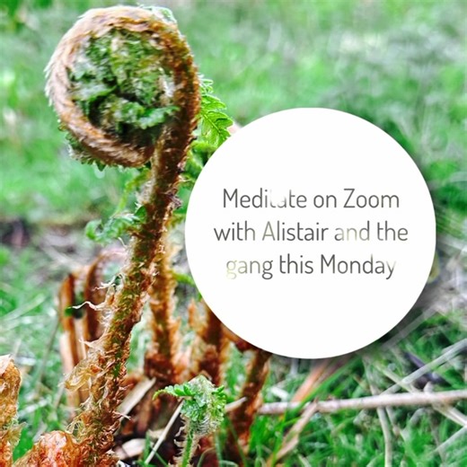 Monday mornings with Mindsprings us a great way to ground your week in clarity and wide-eyed awareness. We look at Beingfulness on Mondays which is our foundational practice. It’s simple and practical and powerful. Come and join. It’s about 40 minutes practice plus time to meet other meditators. Follow link ⬆️ in bio to “ Meditate with Alistair” https://www.mind-springs.org/online-live #meditateonline #meditatetogether #zoommeditation #mindspringsmeditation #alistairappleton #beingfulness | Alis