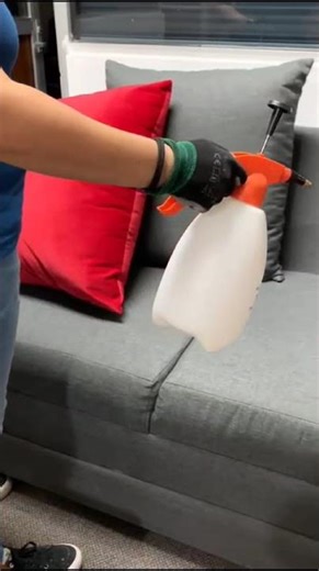 INSECTICIDA X TERMIN FLOW + TRUPER 2L