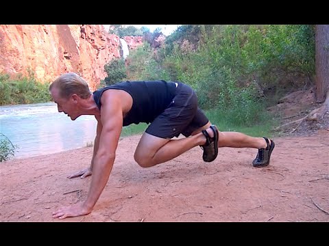 Martial Arts WORKOUT - Amazing 5 Minute Full Body Fitness!