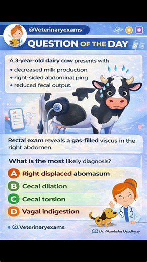 Veterinary Quiz ! #veterinarymedicine