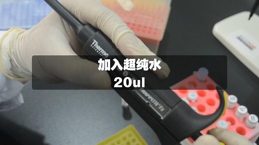 手把手教你做实验_PCR