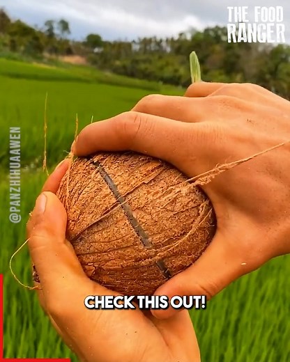 Have you ever seen a "coconut apple" inside the coconut? Check these rare and delicious fruits! | The Food Ranger
