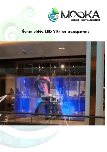 Ecran vidéo LED Vitrine transparent
