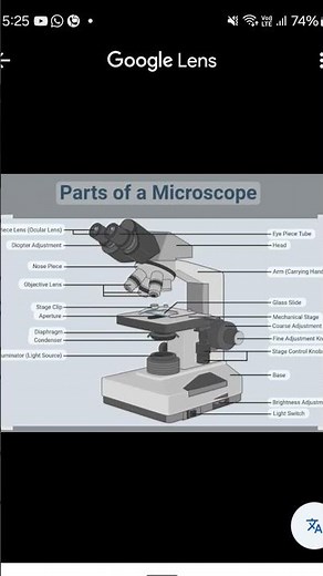 parts of microscope and function #youtubeshorts