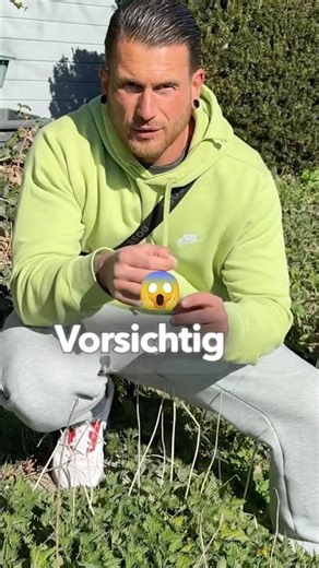 Vorsichtig vor dieser Pflanze! #wildkräuter #stoffwechsel #abnehmen #brennnessel #gesundheitstipps