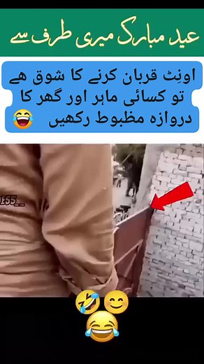 Haseeb Khan on Reels