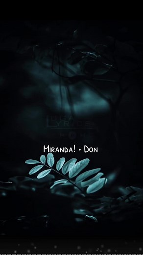 Miranda! • Don (letra) #lugalyrics #don #miranda #music #lyrics