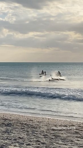 Venice Jetty FL // don’t see this too often // Feb 4, 2023 . . . #dolphin #dolphins #floridadolphins #venicejetty #veniceflorida #idiotfriends #sarasota #nokomis #nokomisflorida #florida #dolphins🐬 #mote | Venice Jetty