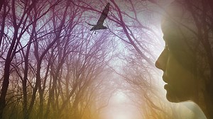 Opera Live - watch Robert O'Dwyer's Eithne from the NCH, Dublin