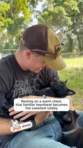 Proof That Dogs Love Us Unconditionally