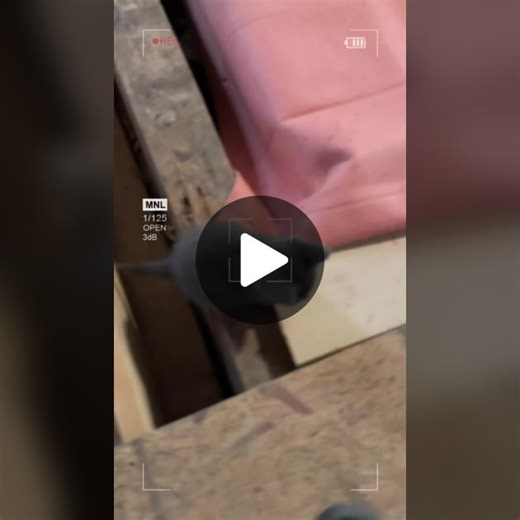Nala_Ninja on TikTok
