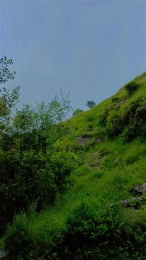 abdullah wafa on TikTok