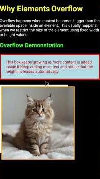 Why Your CSS Elements Overflow (The Real Reason Explained)