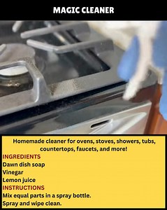 Magic cleaner #fblifestyle #cleaning | Old fashioned recipes