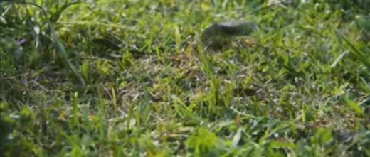 Final Destination 4(2009) Trailer,Soundtrack Download