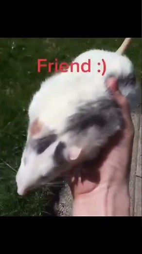 you're my friend now
