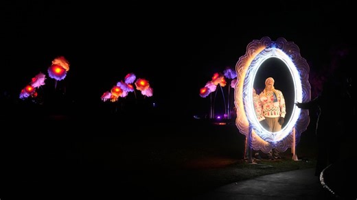 Golden Gate Park's dazzling holiday light display brings joy to the season