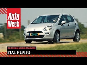 Fiat Punto - Occasion Aankoopadvies