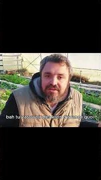 7 years of farming using Permaculture