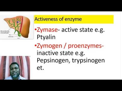 এনজাইম- বৈশিষ্ট্য ও প্রকারভেদ/ বায়োকেমিস্ট্রি লেকচার