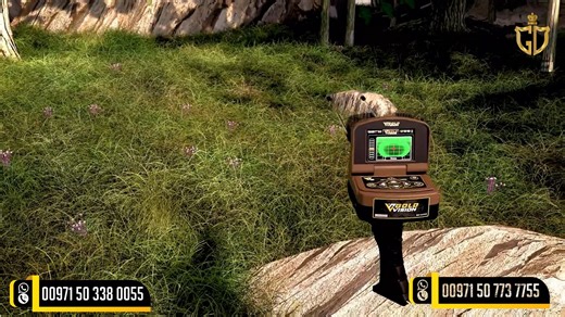 1.1K views · 39 reactions | Gold Vision Metal Detector & 3D Ground...