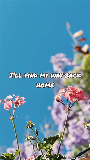 Way back home song with lyrics #shorts
