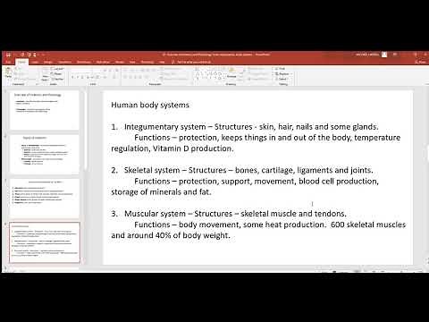81 Overview of Anatomy and Physiology, levels organization, body systems PowerPoint 2019 06 26 15