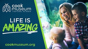 Cook Museum in Decatur, AL