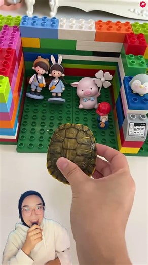 Where is the turtle's house😱😍⁉️