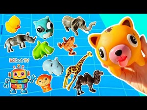 Sink or Float | Learn Animal Names at the Pool for Kids: Crocodile Camel Giraffe Horse Duck