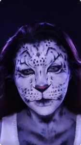 Winter Majesty: Snow Leopard’s World Like You’ve Never Seen