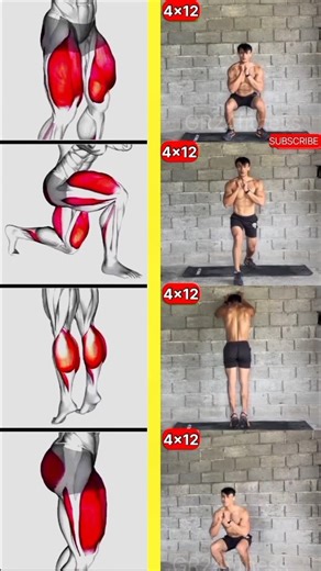Leg Workouts for ALL Levels: Beginner to Advanced Training!