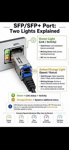 SFP/SFP+ Port Lights Explained! #education #networking #technology