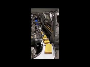 21-03-01, Full automatic cheese treatment and storage system