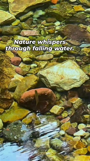 Divine Nature on Reels