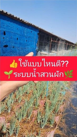 Which type is best?? Garden irrigation system #effortless garden watering #vegetable garden irrig...