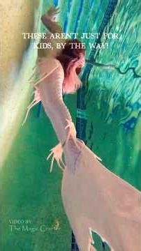 Okay... but WHERE can you get a mermaid tail for beginners? 🫠
