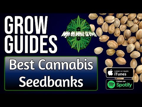 Best Cannabis Seedbanks | Grow Guides Episode 5