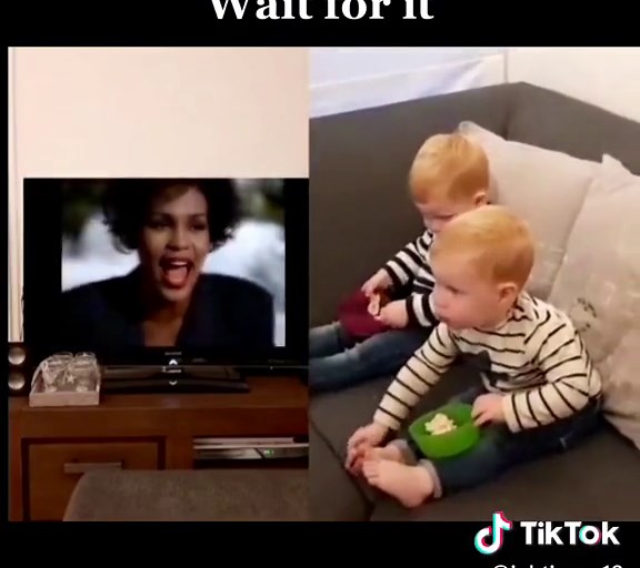 Funny Whitney Houston Twins Surprise Reaction Video