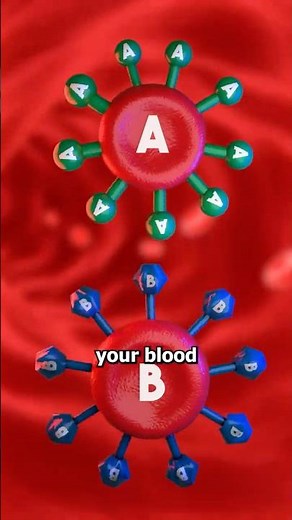 Why Are There So Many Blood Types? 🩸