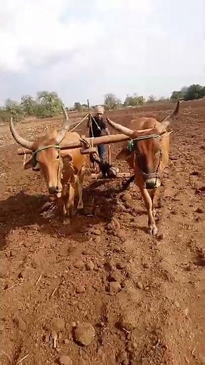 तेरी miti me mil java