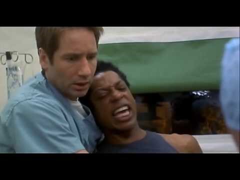 Evolution Trailer HD