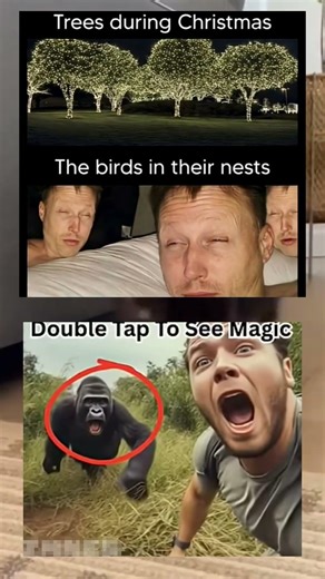 Practice critical thinking.