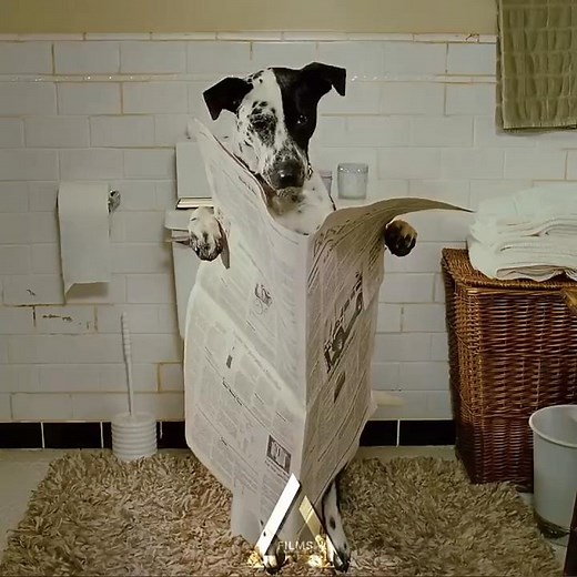 Bruce Controls His Dog to Use the Toilet 😂🐶 | Bruce Almighty (2003) Jim Carrey #edit #morganfreeman