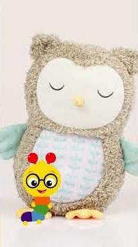 O is for OWL! | Baby Einstein Closer Look | #Shorts