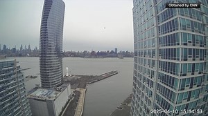 NY helicopter crash: CEO ousts director who suspended flights, FAA orders emergency grounding